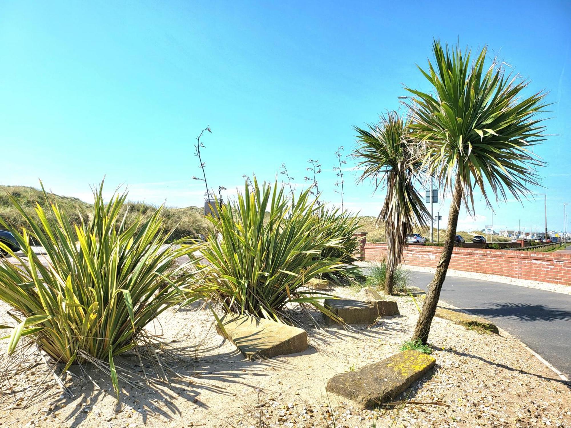 Seaside Beach Themed Home With Garden And Driveway ليثام سانت أنيه المظهر الخارجي الصورة